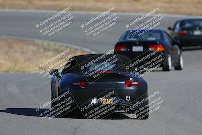 media/Nov-19-2023-Extreme Speed (Sun) [[bd0eec5490]]/Purple/Back Shots/